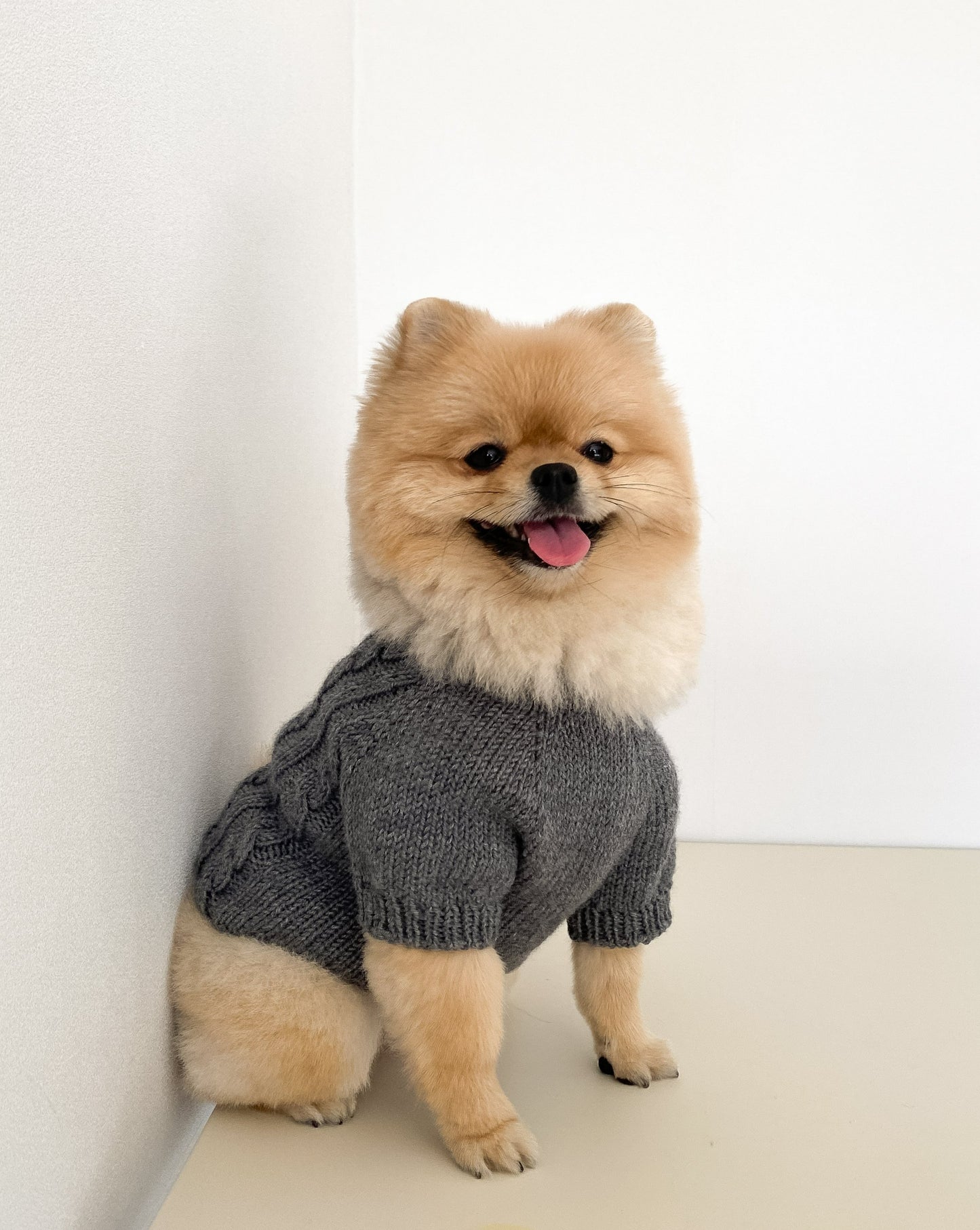 [PDF 도안] 자라 강아지 꽈배기 탑다운 스웨터